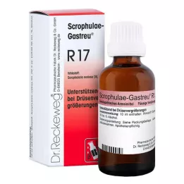 SCROPHULAE-Miscela Gastreu R17, 50 ml