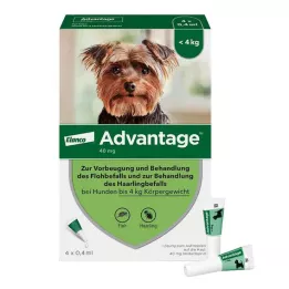 ADVANTAGE 40 Soluzione per cani fino a 4 kg, 4 pezzi