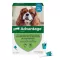 Advantage 100 per cani da 4-10 kg, 4 pezzi