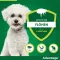 Advantage 100 per cani da 4-10 kg, 4 pezzi