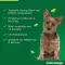 Advantage 100 per cani da 4-10 kg, 4 pezzi