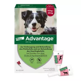 ADVANTAGE 250 soluzione per cani 10-25 kg, 4 pz