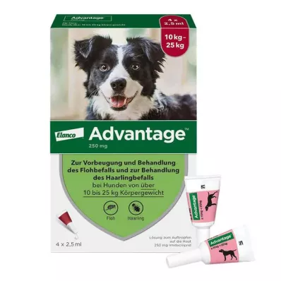 Advantage 250 per cani da 10-25 kg, 4 pz