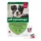 Advantage 250 per cani da 10-25 kg, 4 pz