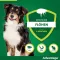 Advantage 250 per cani da 10-25 kg, 4 pz
