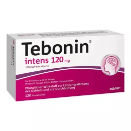 TEBONIN compresse intensive da 120 mg rivestite con film, 120 pz