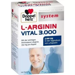 DOPPELHERZ L-Arginina Vital 3.000 capsule di sistema, 120 Capsule
