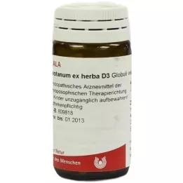 ABROTANUM EX Erba D 3 globuli, 20 g