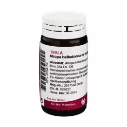 ATROPA belladonna ex Herba D 6 globuli, 20 g