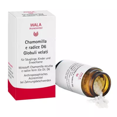 Chamomilla E Radix D 6 globuli, 20 g Chamomilla E Radix D 6 globuli, 20 g