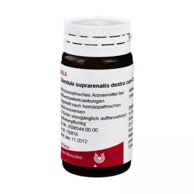 Glandula suprarenalis Dextra c., 20 g