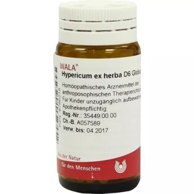 HYPERICUM EX Erba D 6 globuli, 20 g