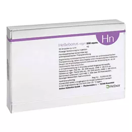 HELLEBORUS NIGER D 30 ampolle, 50 pz