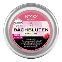 ENERGIE BACHBLÜTENPASTILLEN secondo il Dr. Bach, 50 g
