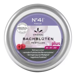 KONZENTRATION Pastiglie di fiori di Bach secondo il Dr. Bach, 50 g