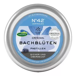 SELBSTVERTRAUEN Pastilla di fiori di Bach secondo il Dr. Bach, 50 g