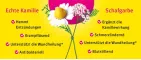 Instructions for use for Kamillan® liquido, 10 ml - 2