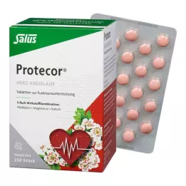 PROTECOR Tabl.z.Funktionsunt.Salus cardiovascolare, 250 pz