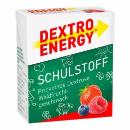 DEXTRO ENERGY Materiale scolastico Compresse di frutti di bosco, 50 g