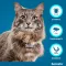 SERESTO Collare per gatti, 1 pz
