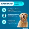 Collare Seresto per cani di taglia grande oltre 8 kg, 1 pezzo
