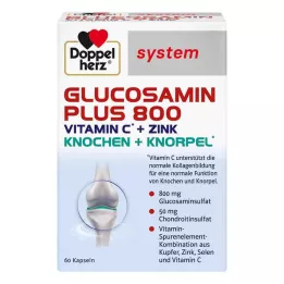 DOPPELHERZ Glucosamina Plus 800 capsule di sistema, 60 pezzi