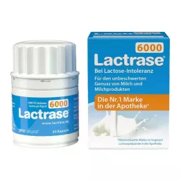 LACTRASE 6.000 FCC capsule, 60 pezzi