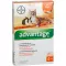 ADVANTAGE 40 mg soluzione per piccoli gatti/ piccoli conigli da compagnia, 4X0,4 ml