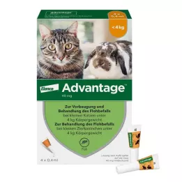 ADVANTAGE 40 mg soluzione per piccoli gatti/ piccoli conigli da compagnia, 4X0,4 ml