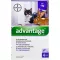 ADVANTAGE 80 mg per gatti e conigli di grandi dimensioni, 4X0,8 ml