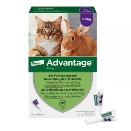 ADVANTAGE 80 mg per gatti e conigli di grandi dimensioni, 4X0,8 ml