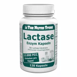 LACTASE 12.000 FCC Capsule di enzimi, 120 pz