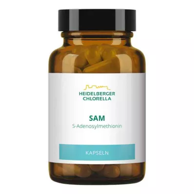 Capsule Sam S-adenosilmetionina (60 pezzi) Capsule Sam S-adenosilmetionina (60 pezzi)