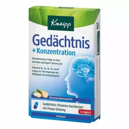 KNEIPP Capsule Memoria+Concentrazione, 30 Capsule