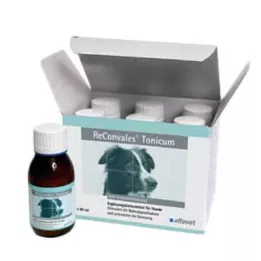 RECONVALES Tonico per cani, 6X90 ml