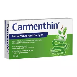 CARMENTHIN per indigestione msr.soft caps., 14 pz