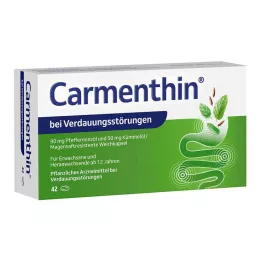 CARMENTHIN per indigestione msr.soft caps., 42 pz