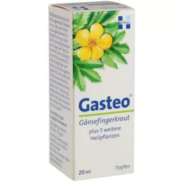 GASTEO Gocce orali, 20 ml