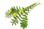 Instructions for use for GASTEO Gocce per disturbi gastrointestinali, 20 ml - 8