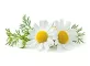 Instructions for use for GASTEO Gocce per disturbi gastrointestinali, 20 ml - 9