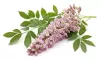 Instructions for use for GASTEO Gocce per disturbi gastrointestinali, 20 ml - 10
