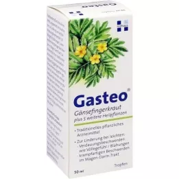 GASTEO Gocce orali, 50 ml