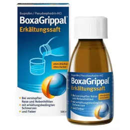 BOXAGRIPPAL Succo freddo, 100 ml