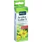 KNEIPP Pomata allarnica S, 20 g