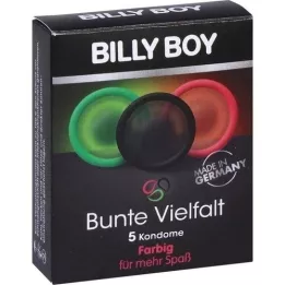 BILLY BOY varietà colorata, 5 pezzi