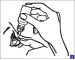 Instructions for use for Systane Hydration collirio, 3x10 ml - 6