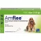 AMFLEE 134 mg soluzione spot-on per cani di media taglia 10-20 kg, 3 pz
