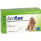 AMFLEE 134 mg soluzione spot-on per cani di media taglia 10-20 kg, 3 pz