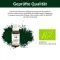 Bitterkraft Liquido originale (20 ml)