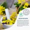 FREI ÖL Balsamo labbra idrolipidico, 8 ml